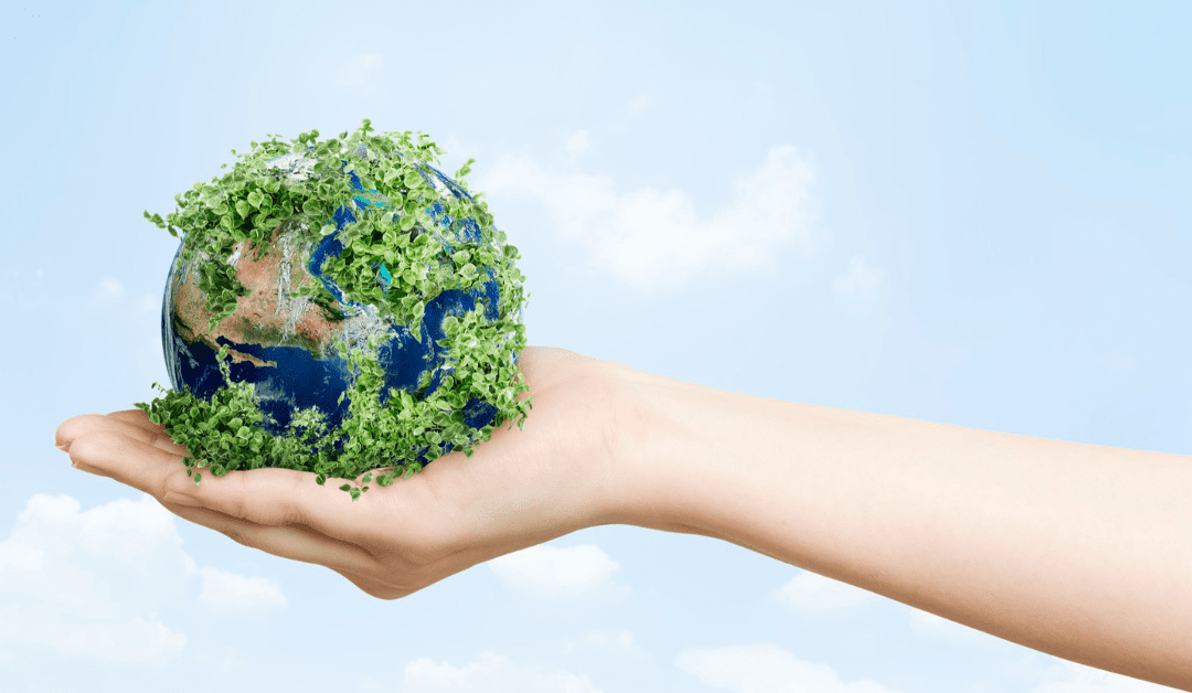 earth investment