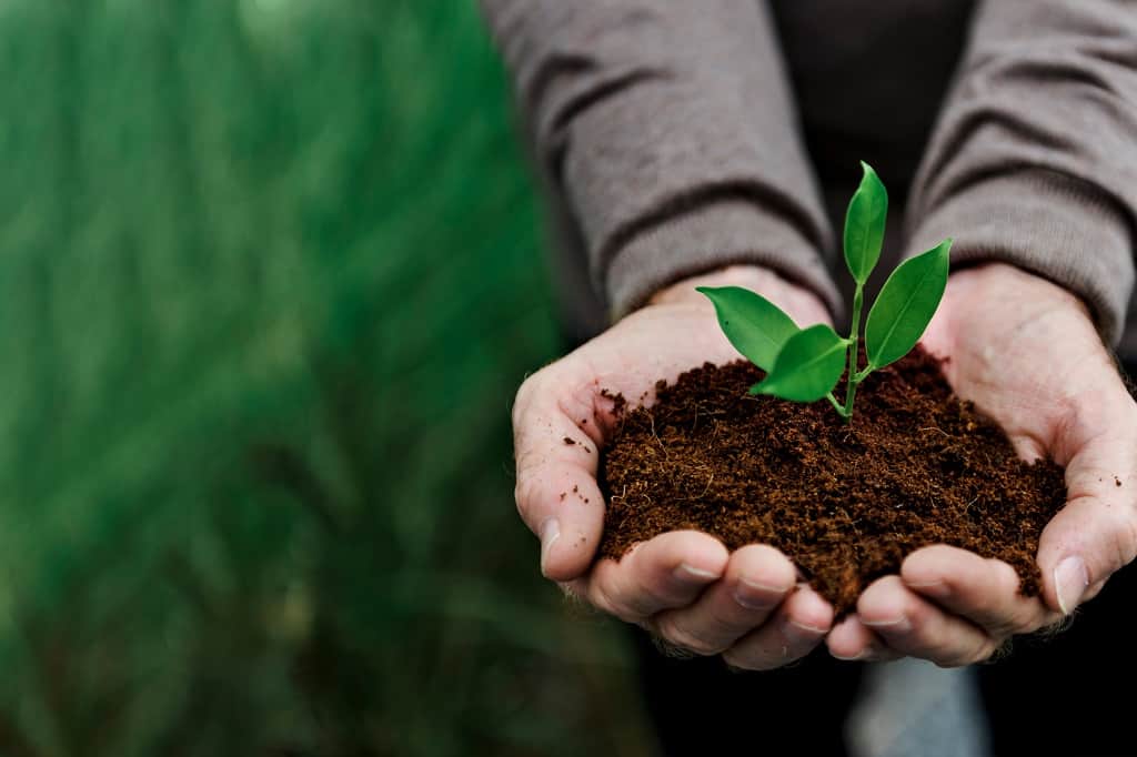 What Is Greenwashing, And What To Do About It?