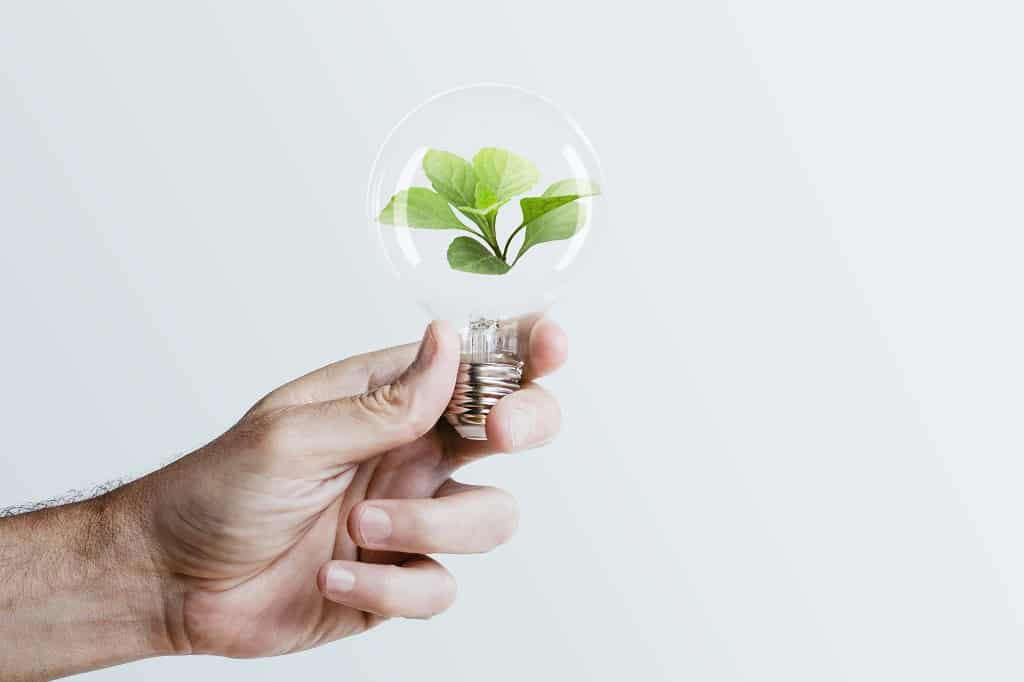 4 Things That You Should Know About ESG In Malaysia