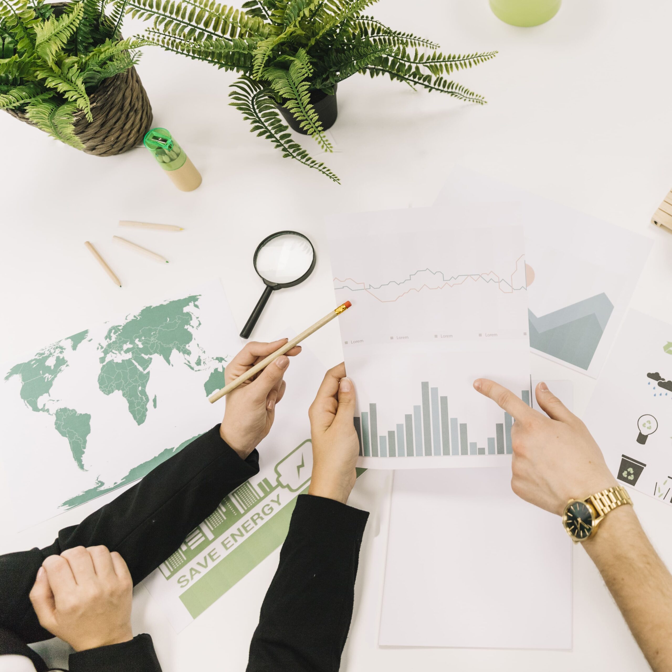 National Sustainability Reporting Framework to Enhance Sustainability Disclosures