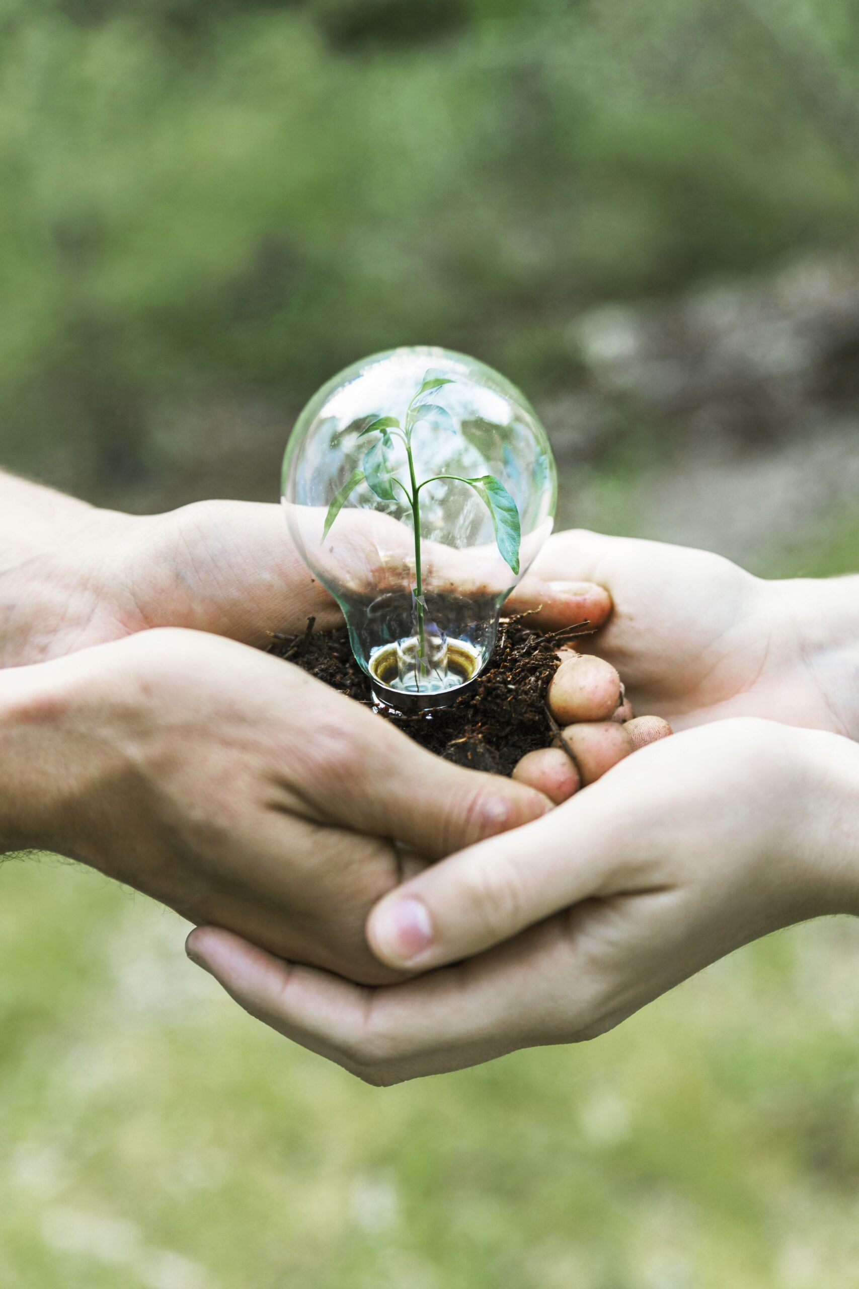 THE SMARTINVESTOR AS THE OFFICIAL MEDIA PARTNER FOR THE SUSTAINABLE ACTION CONFERENCE 2024