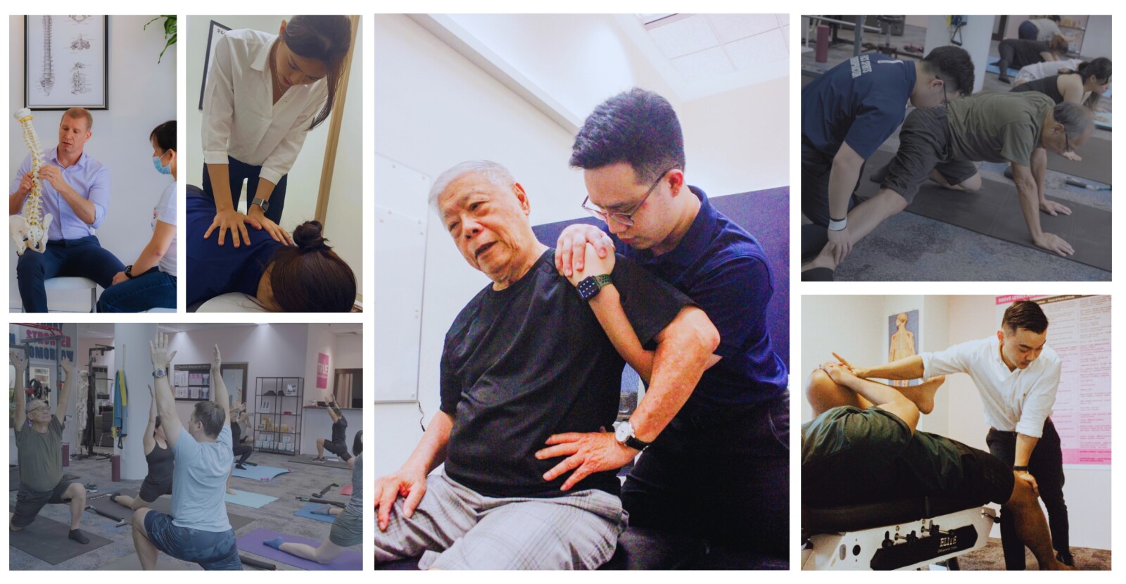 True Chiropractic Frames Longevity Within Preventive Healthcare Strategy